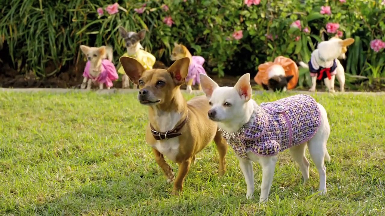 Perdidos Pra Cachorro 2 Trailer Original