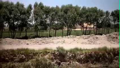 Hell and Back Again Tráiler VO