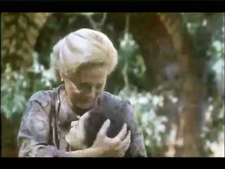 Vá Onde Seu Coração Mandar Trailer Original