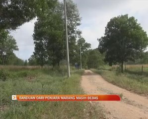 Banduan dari penjara Marang masih bebas