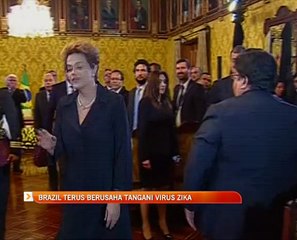 Brazil terus berusaha tanggani virus Zika