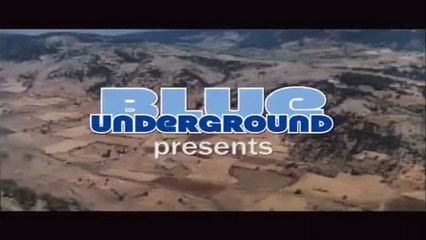 O Estranho Segredo do Bosque dos Sonhos Trailer Original
