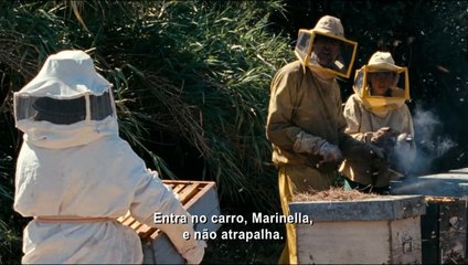 As Maravilhas Trailer Legendado