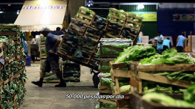 Carregador 1118 Trailer