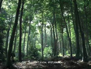 Todos los caminos de Dios Tráiler VO