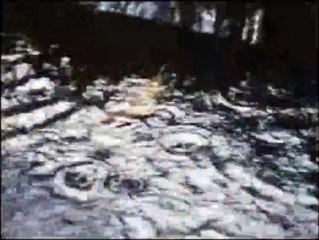 Cuando el río crece Tráiler VO