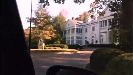 Bright Leaves Tráiler VO