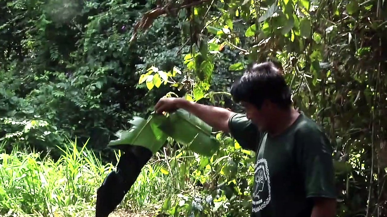 How To Let Go Of The World (And Love All The Things Climate Can't Change) Tráiler VO