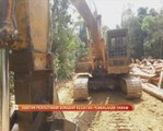 Jabatan Perhutanan bongkar kegiatan pembalakan haram
