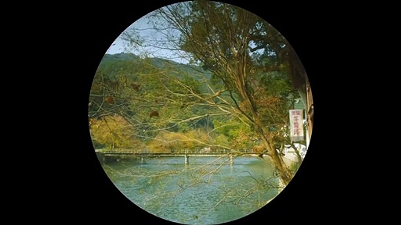 Yo no soy Madame Bovary Tráiler (3) VO