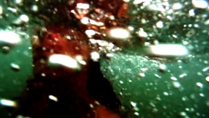 Sipo Phantasma Clip (2)