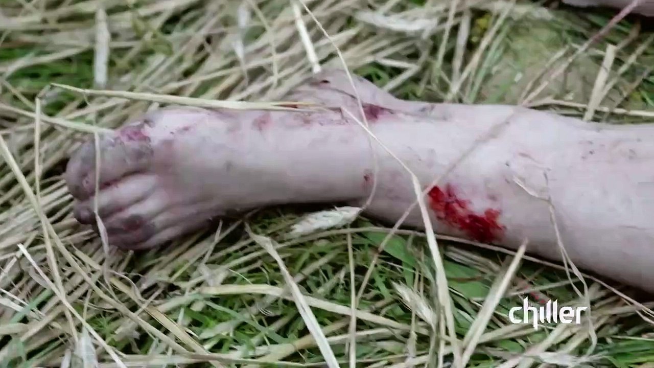 Slasher Teaser VO