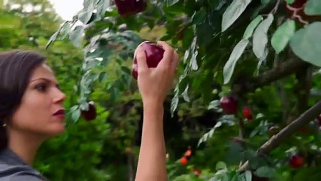 Érase una vez - season 6 Tráiler (3) VO