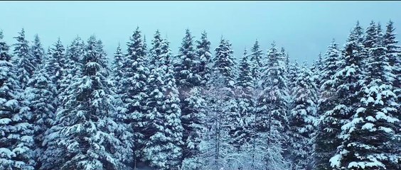 El tesoro de la montaña Tráiler VO