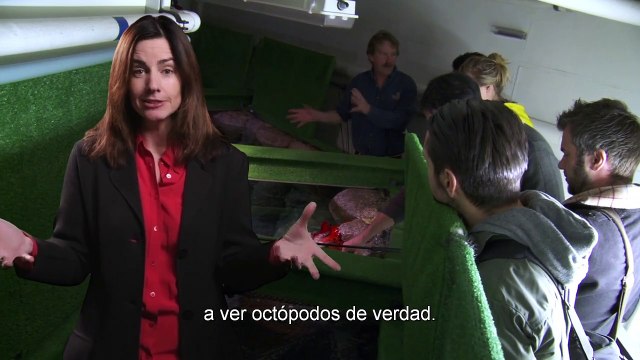 Buscando a Dory Reportaje VO