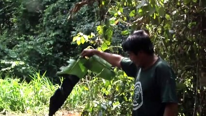 How to Let Go of the World (and Love All the Things Climate Can’t Change) Trailer Original