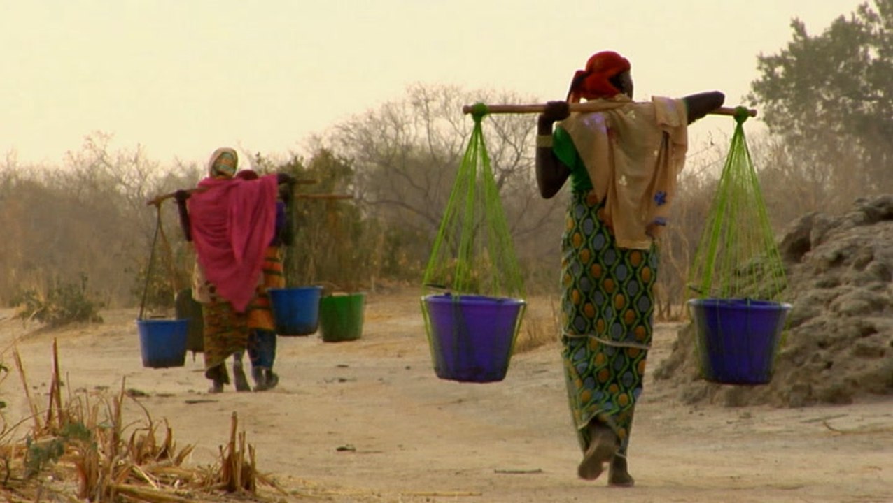 One scientist's journey from Niger to NASA