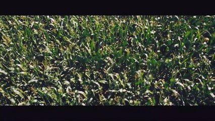 Boa Noite, Mamãe! Trailer Legendado