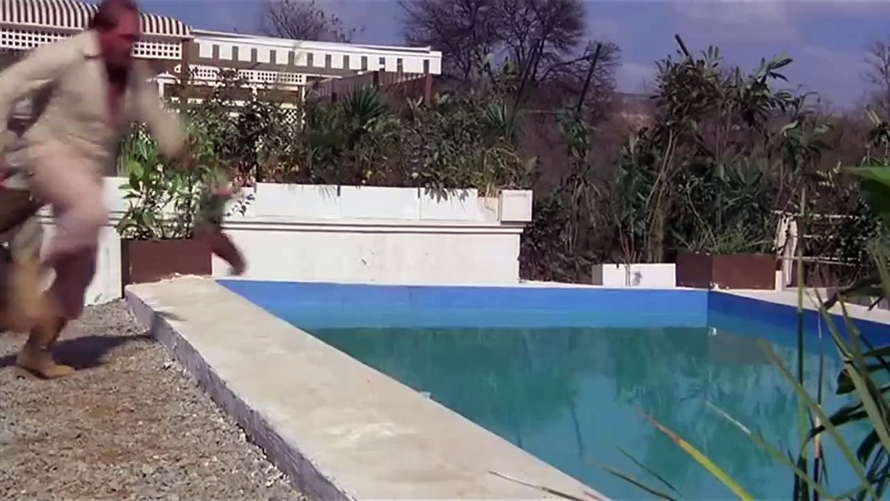 Estoy con los hipopótamos - Tráiler VO (Italiano)