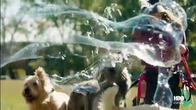 High Maintenance Tráiler VO