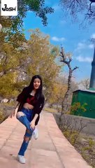 New Tiktok Funny __Josh Hindi  Attitude Videos Of Jannat Zubair_ Mr. Faisu_Riyaz Aly_ Arishfa Khan(480P)