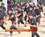 Silat seni gayong diterima secara global