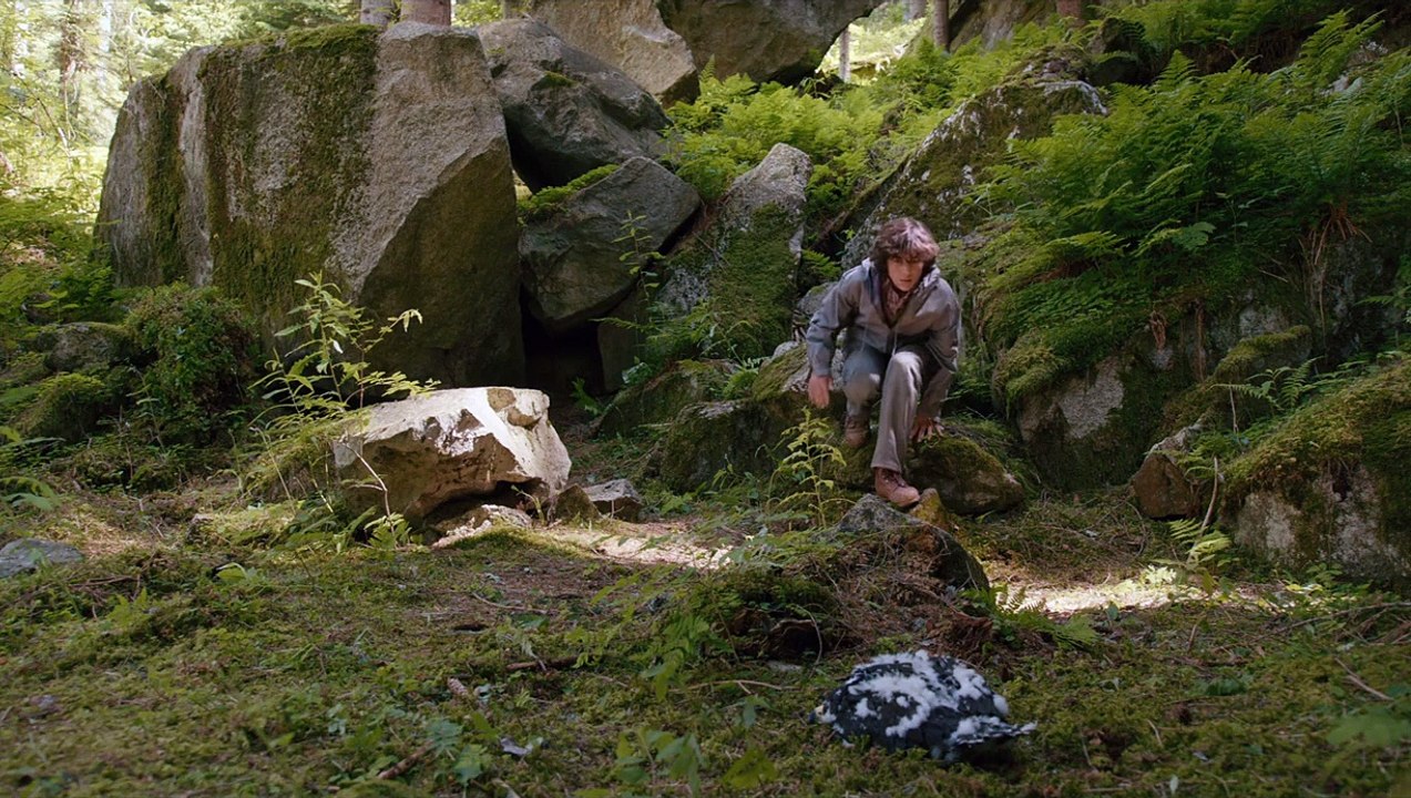 Hermanos del viento Tráiler