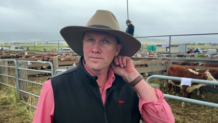 Day one of the Mountain Calf Sales series | March 8, 2022 | Stock and Land