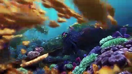 Procurando Dory Trailer (2) Dublado