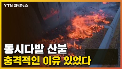 [자막뉴스] 한반도 휩쓴 동시다발 산불, 충격적인 이유 있었다 / YTN