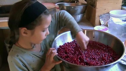 Todo o Tempo do Mundo trailer Original