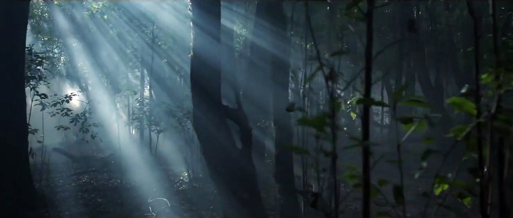 La niebla y la doncella Teaser