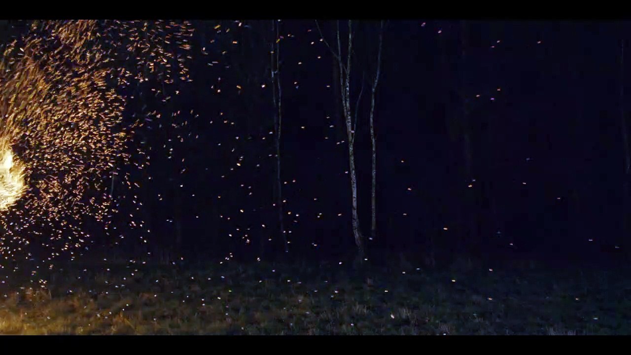 Wanja Trailer Original