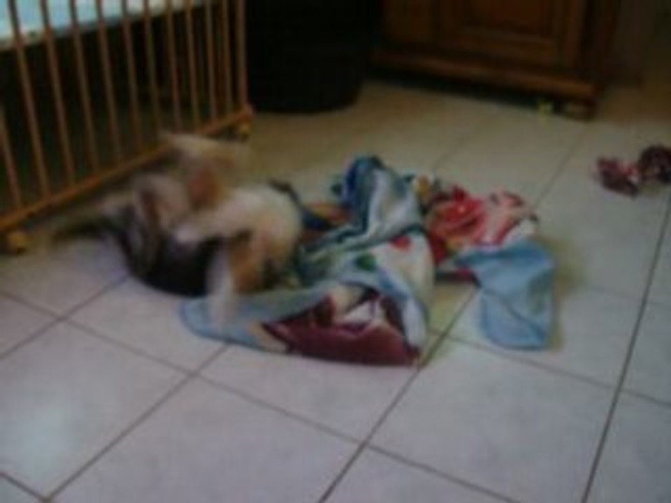 Video coeurly 2 mois 2 semaines et 3 jours