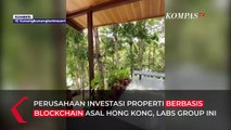 Ini Dia! NFT Proyek Properti Eksklusif Pertama di Dunia