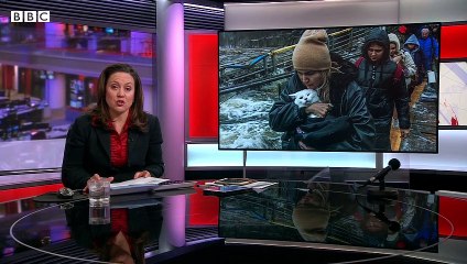 Why animals are also victims of the war in Ukraine