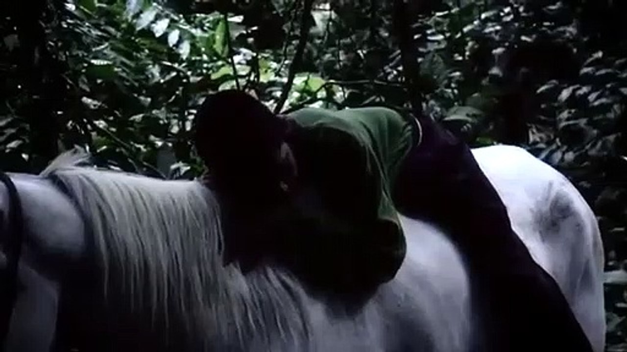 Favio, a Estética da Ternura Trailer Original