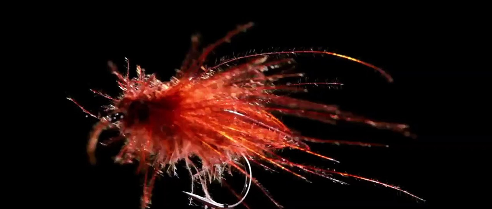 Dt. Clip aus dem 1. Kapitel von 'Nymph()maniac': Sex und Schokolinsen