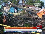 Budak lima tahun mati dihempap pokok tumbang