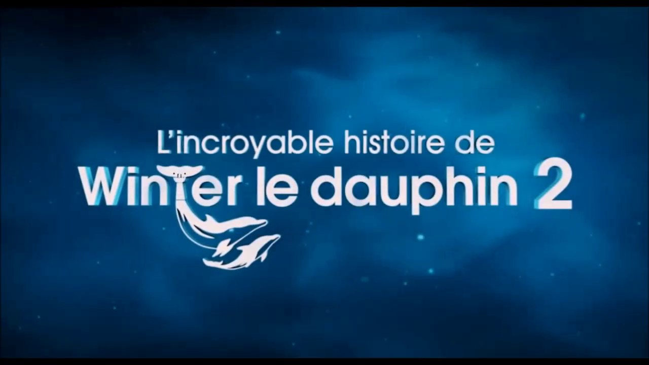 L'incroyable histoire de Winter le Dauphin 2 - VF
