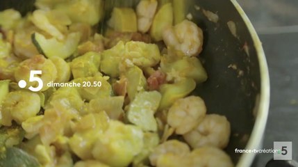 Curcuma la poudre aux yeux (france 5) bande-annonce