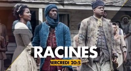 Racines - 19 07 17 - Numéro 23