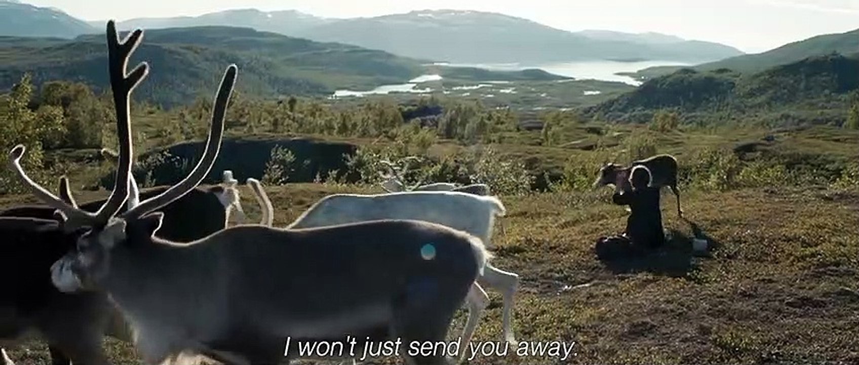 Sameblod Tráiler VO