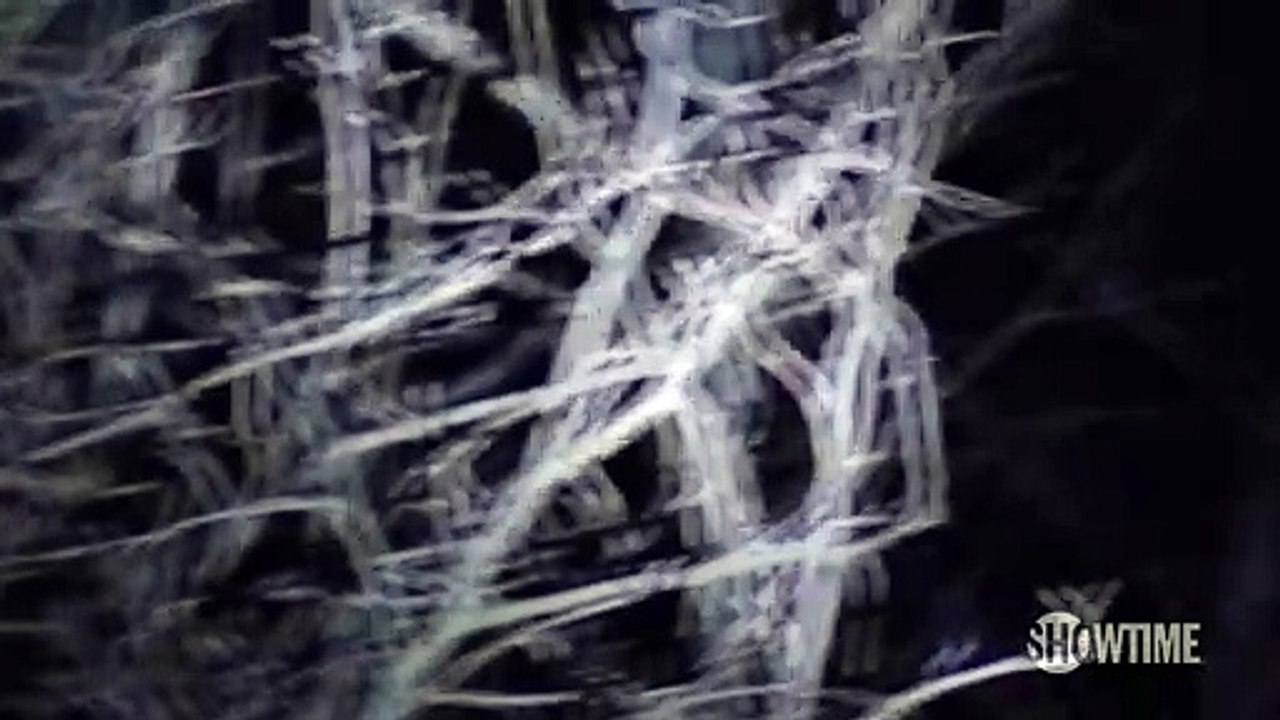 Twin Peaks 3ª Temporada Teaser 'Kyle MacLachlan retorna como Dale Cooper' Original