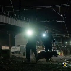 Teaser preestreno exclusivo Paramount