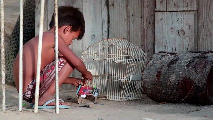 Em Busca da Terra Sem Males Teaser