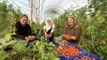Dünya Emekçi Kadınlar Günü'nü serada domates toplayarak geçiriyorlar