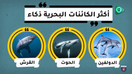 إذا تجاوزت المرحلة الأخيرة فعلم أنك عبقري وشديد تركيز