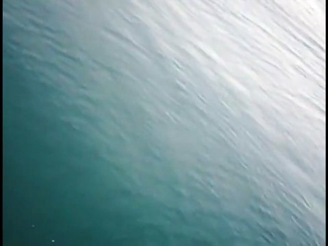 Ruínas Seu Reino Trailer Original