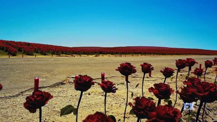 Mayans M.C. Teaser (2) VO